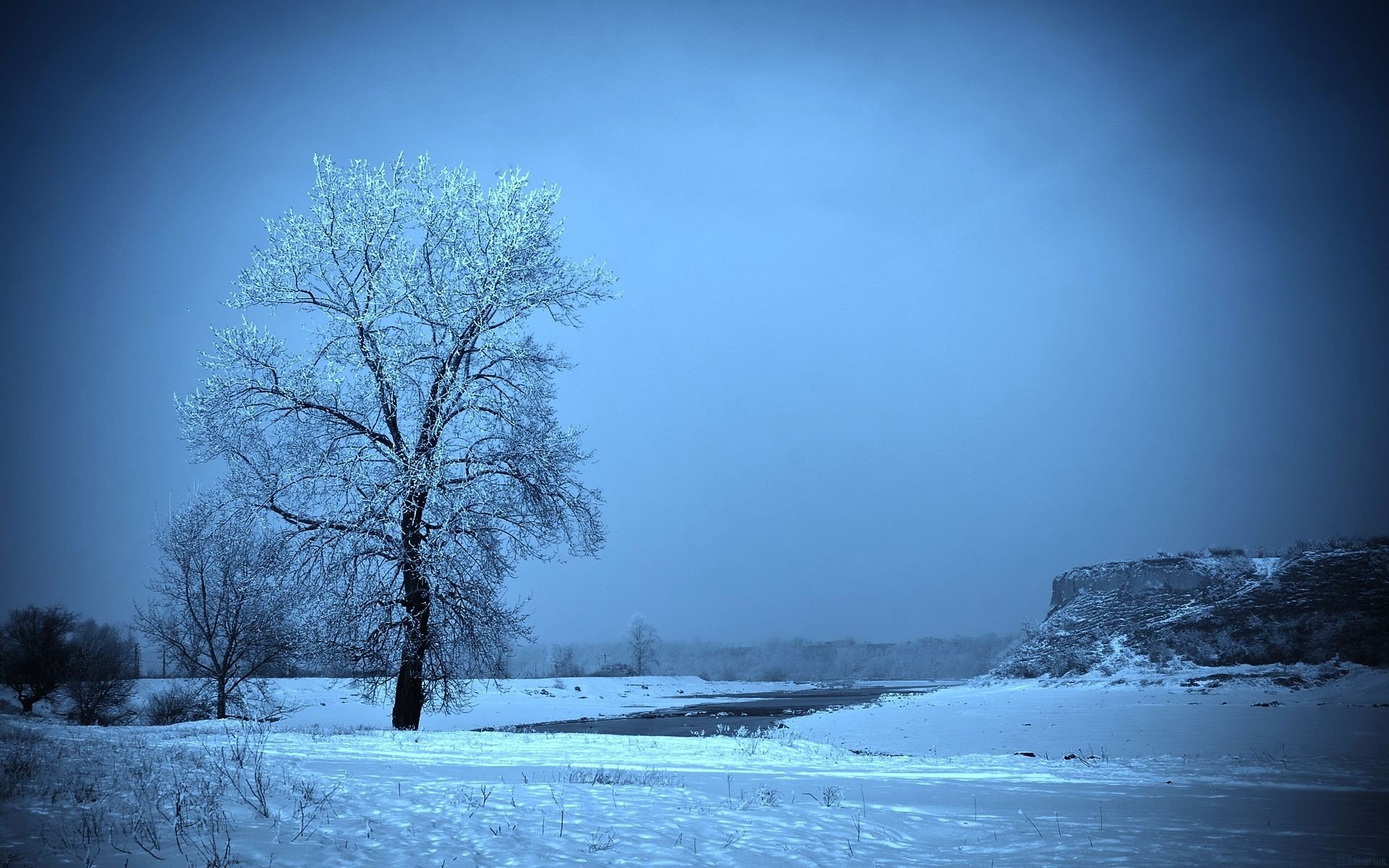 winter snow frost tree the field hill