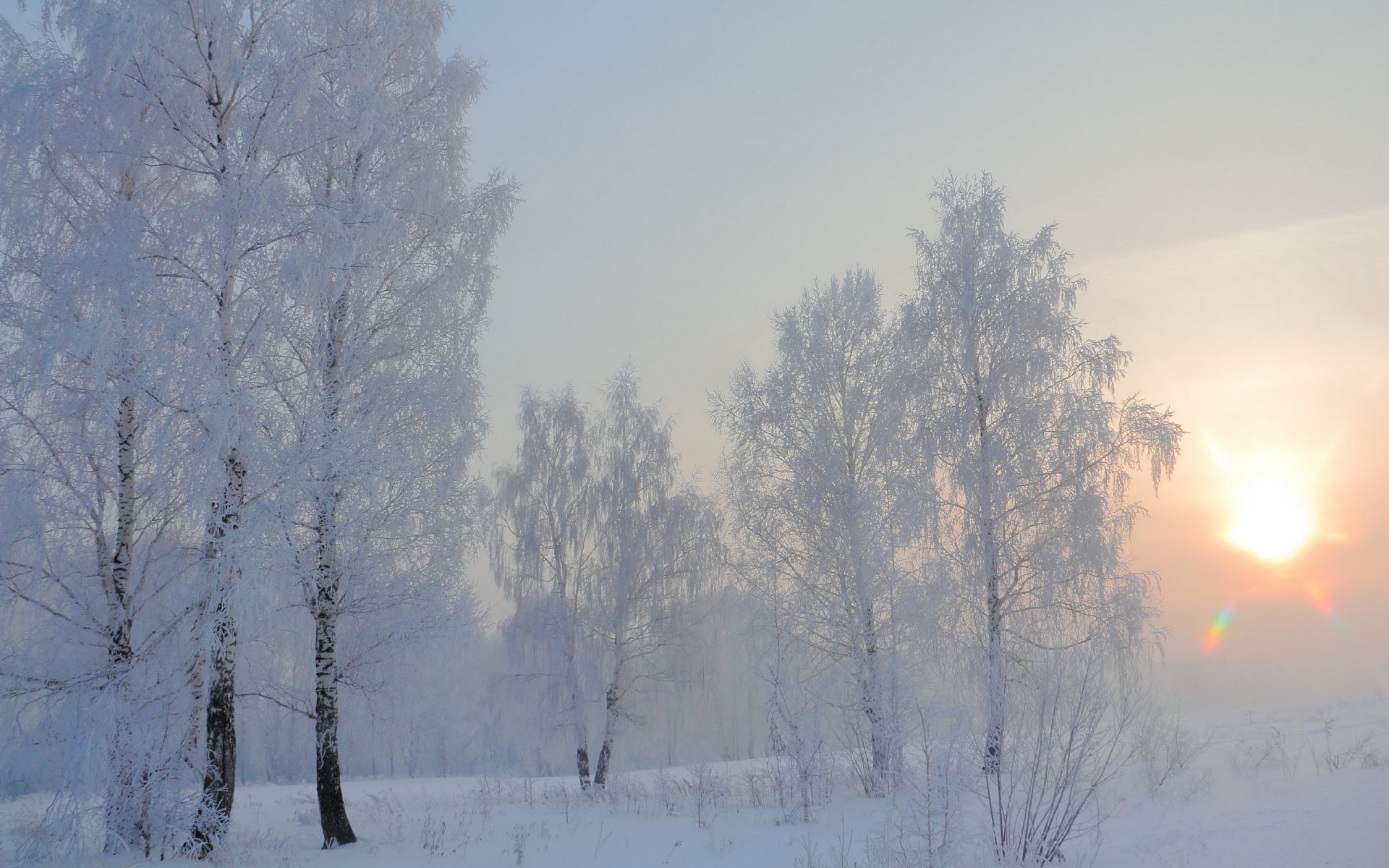 winter morning snow