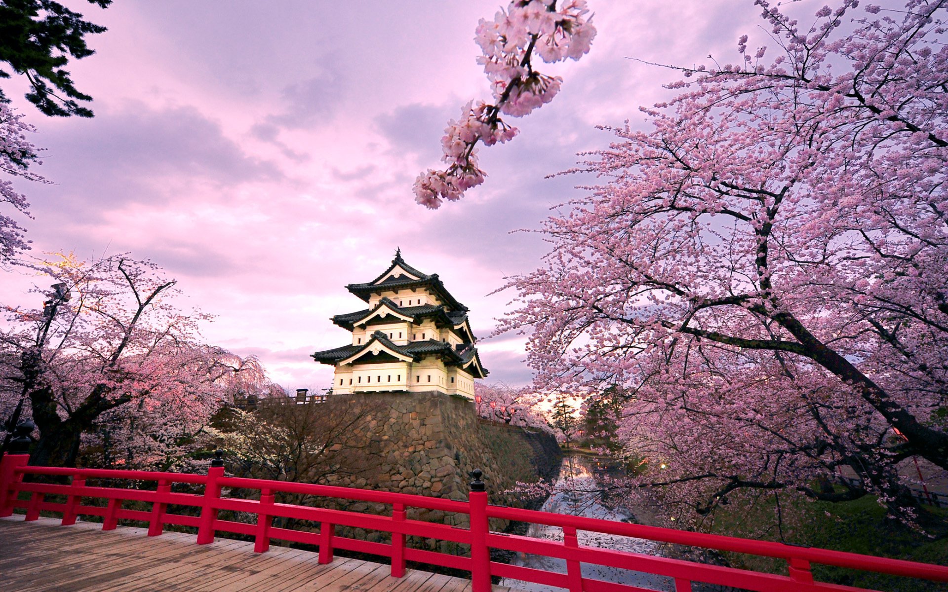 japon hirosaki château arbres sakura floraison pont étang ciel nuages