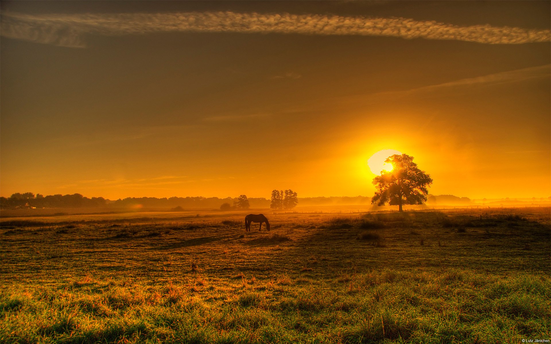 pferd sonnenuntergang feld