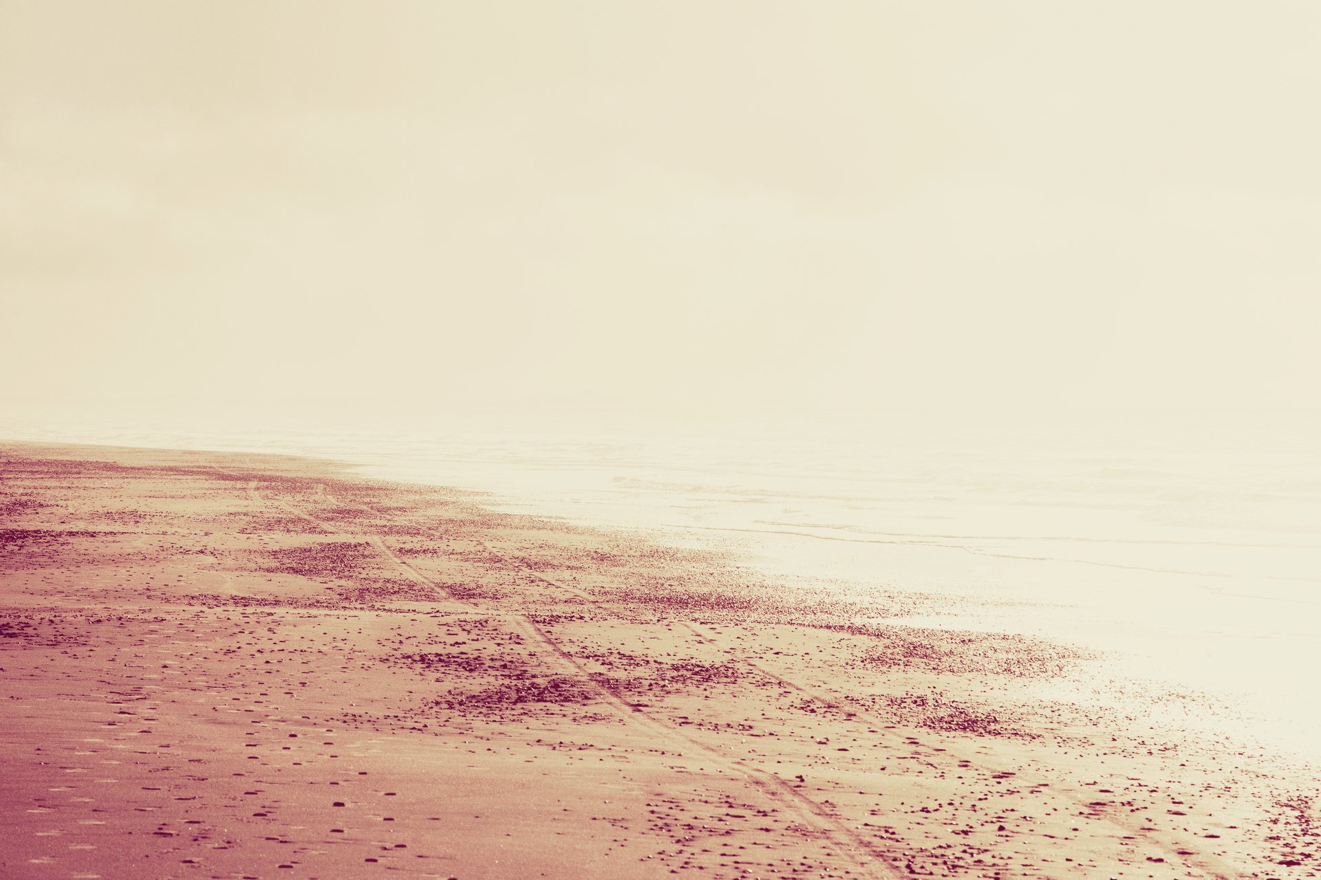 natura krajobraz plaża piasek ślady morze woda słońce światło drukuje