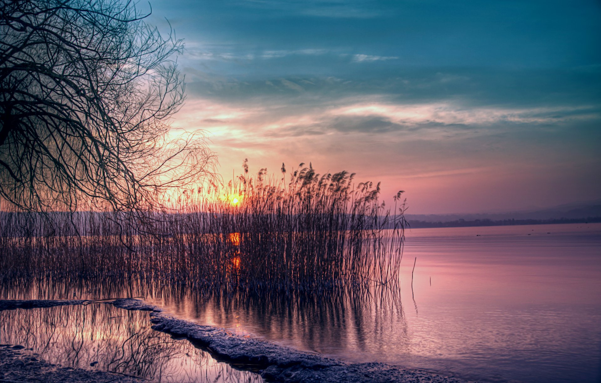 sera crepuscolo rosa tramonto sole blu cielo lago canne riva silenzio