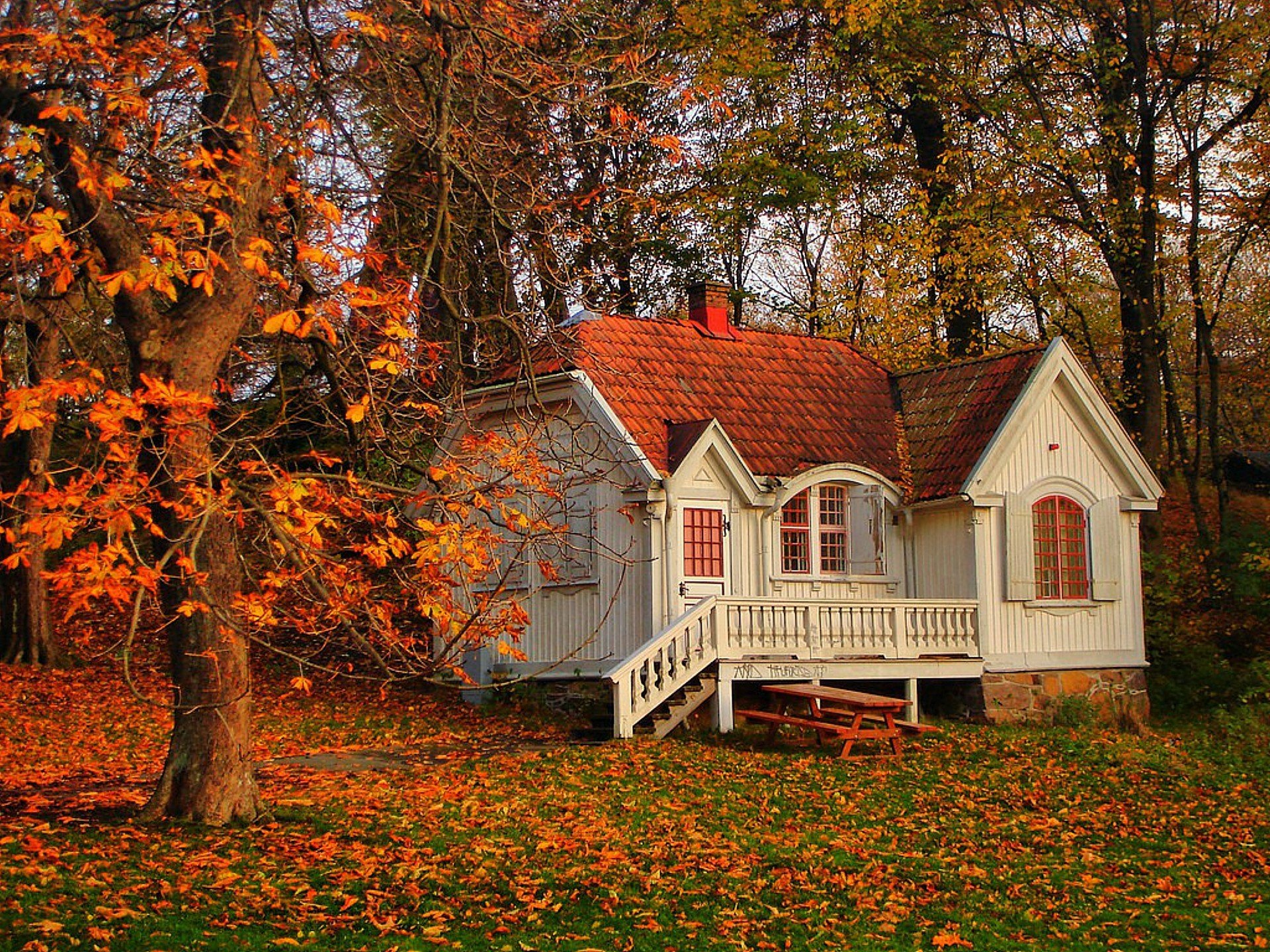 nature paysage maison arbre arbres feuilles automne