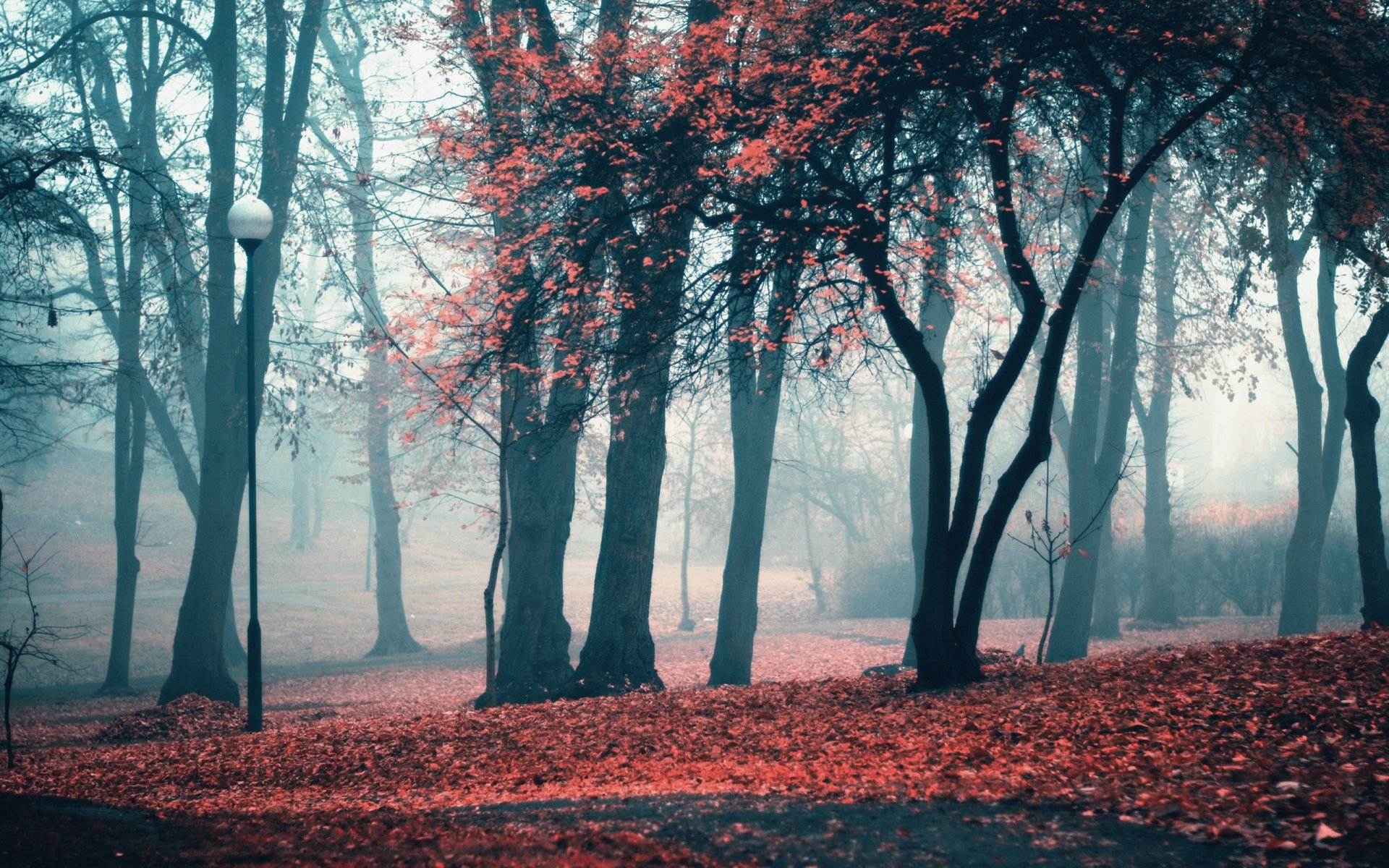 park latarnia drzewa liście jesień