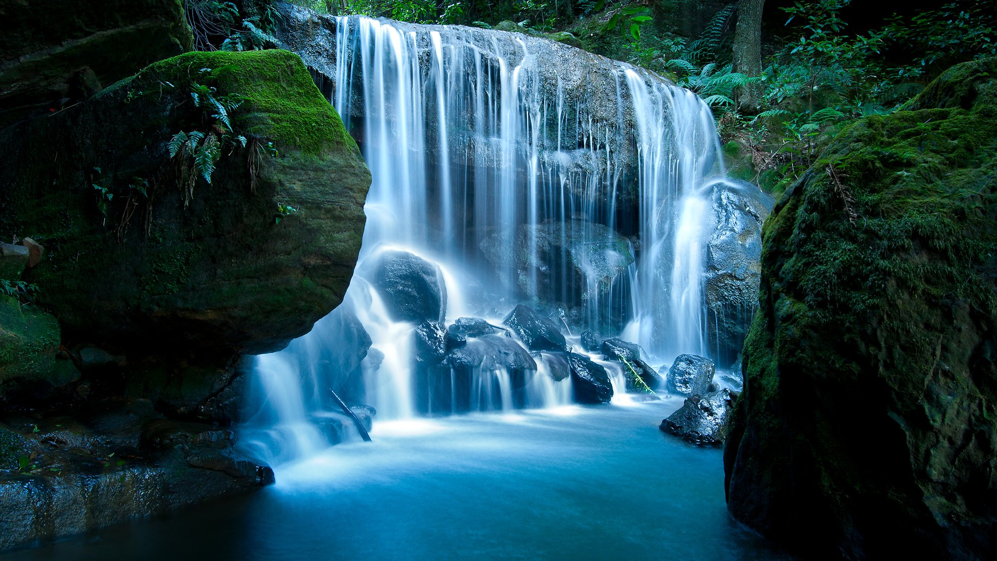 naturaleza piedras cascada musgo bosque