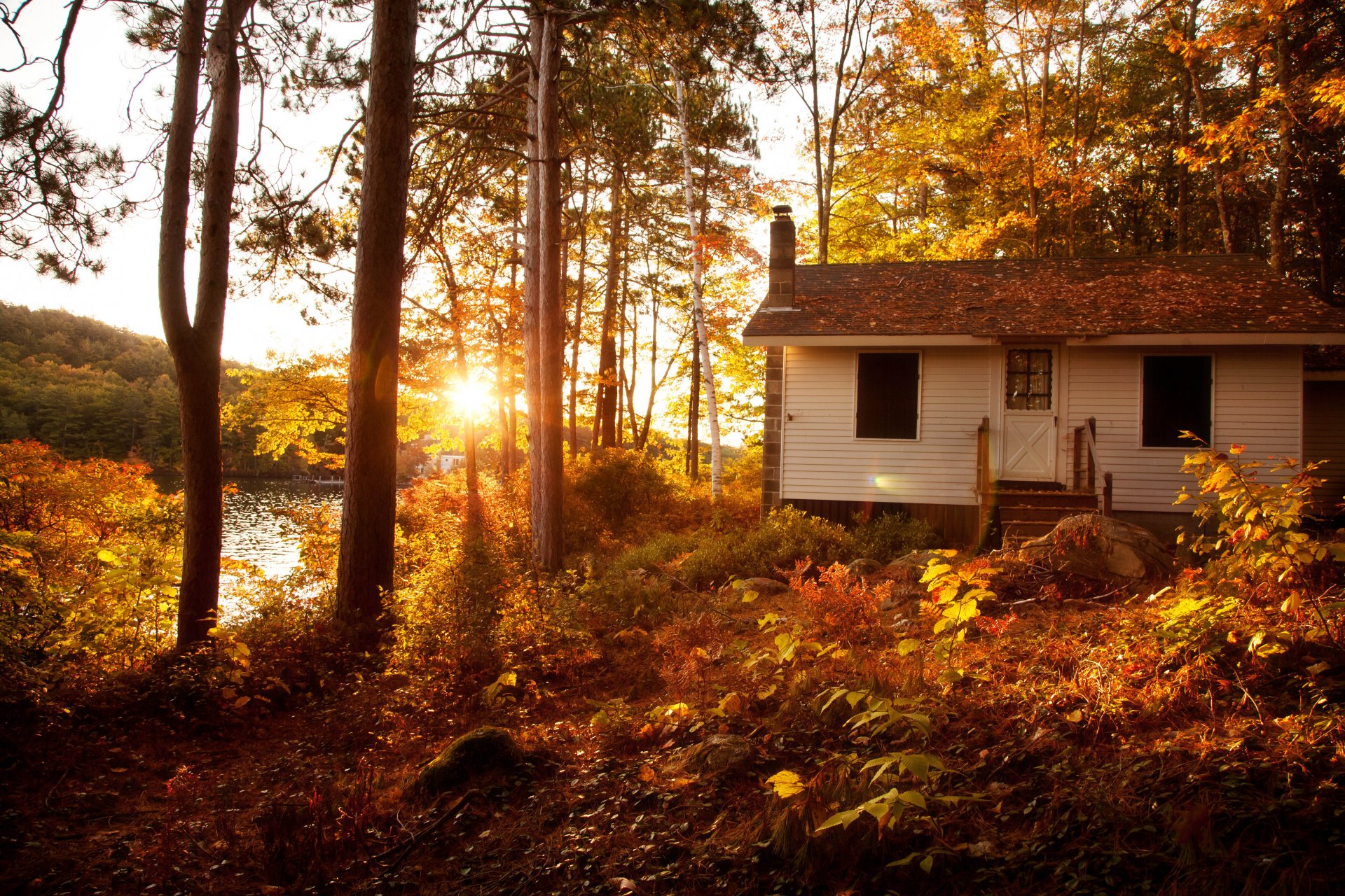 natura paesaggio foresta alberi sole tramonto autunno villa case architettura vila casa vista fresco bello