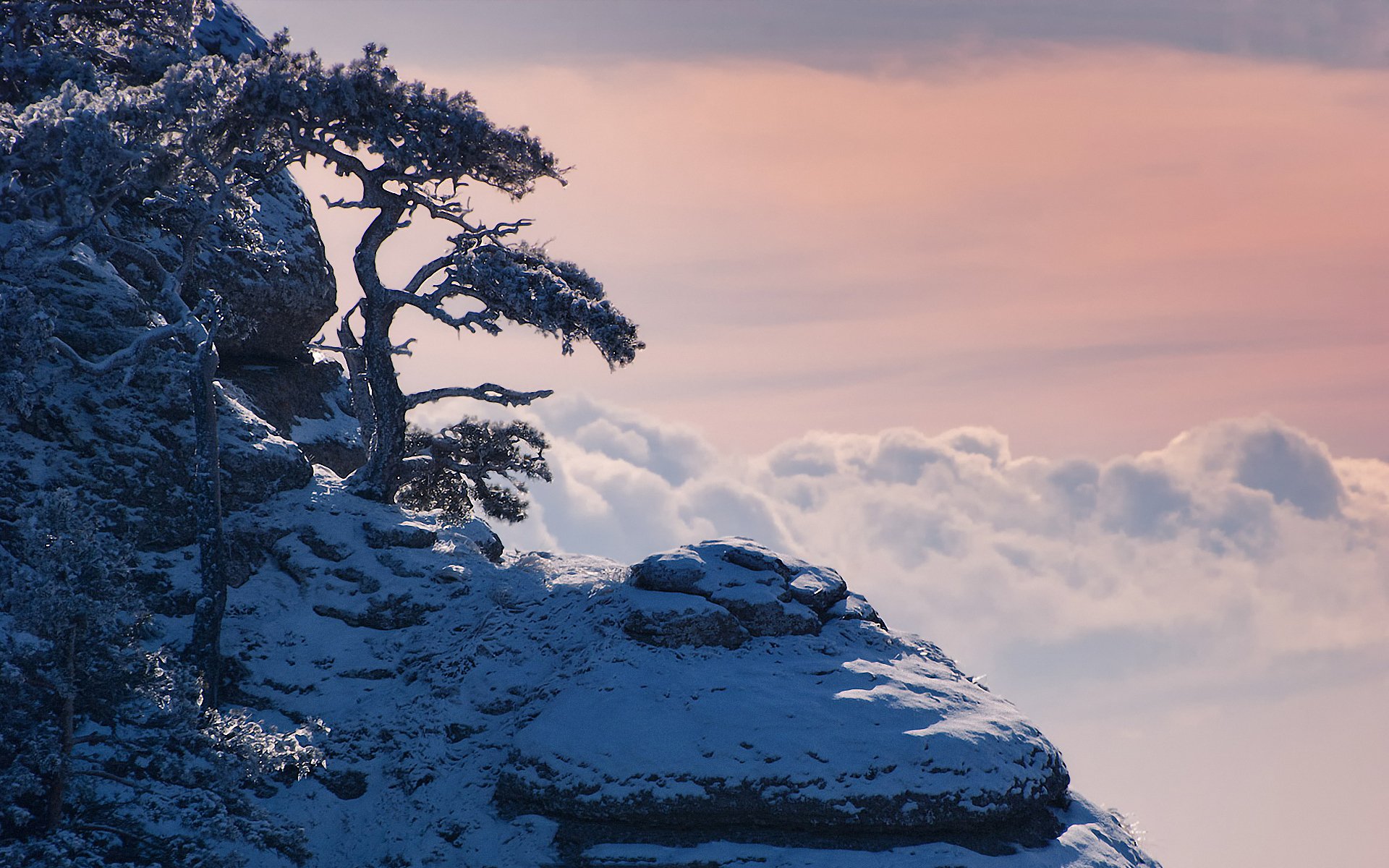 crimea invierno nieve montañas pinos nubes