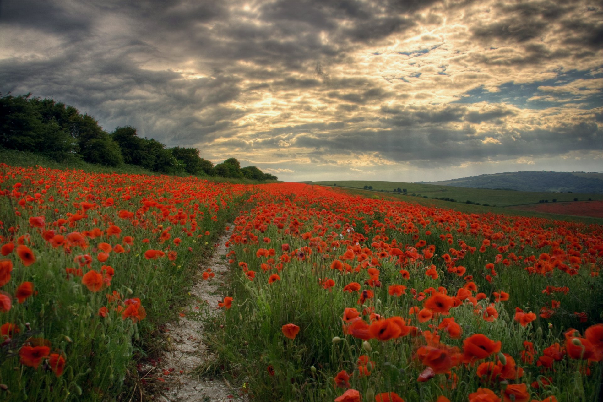 abend feld mohnblumen blumen fußweg himmel wolken lumen strahlen