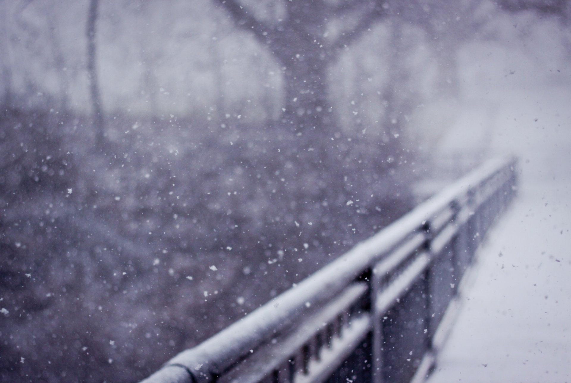 nature hiver neige garde-corps