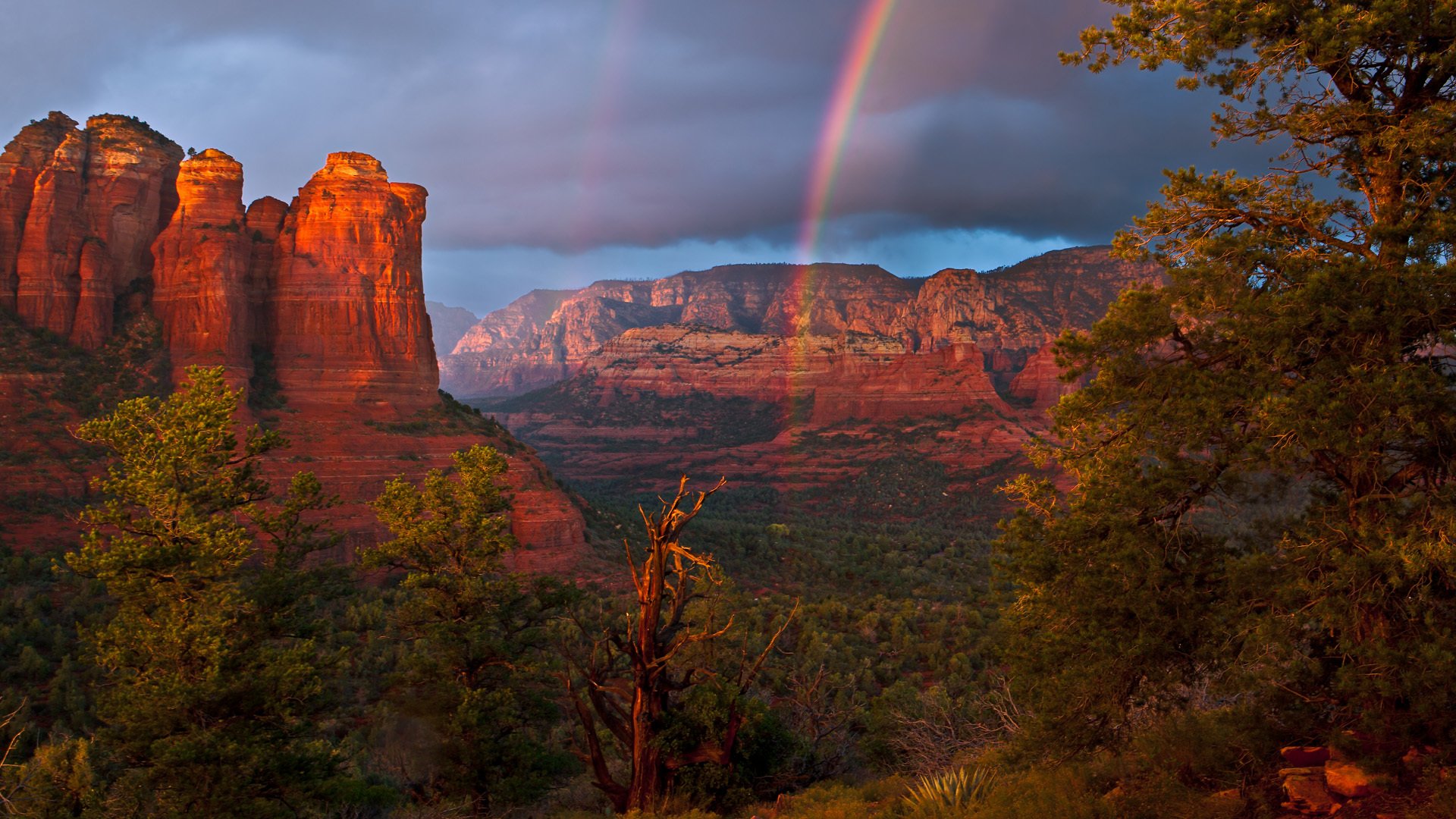 rainbow sky clouds mountain tree landscape