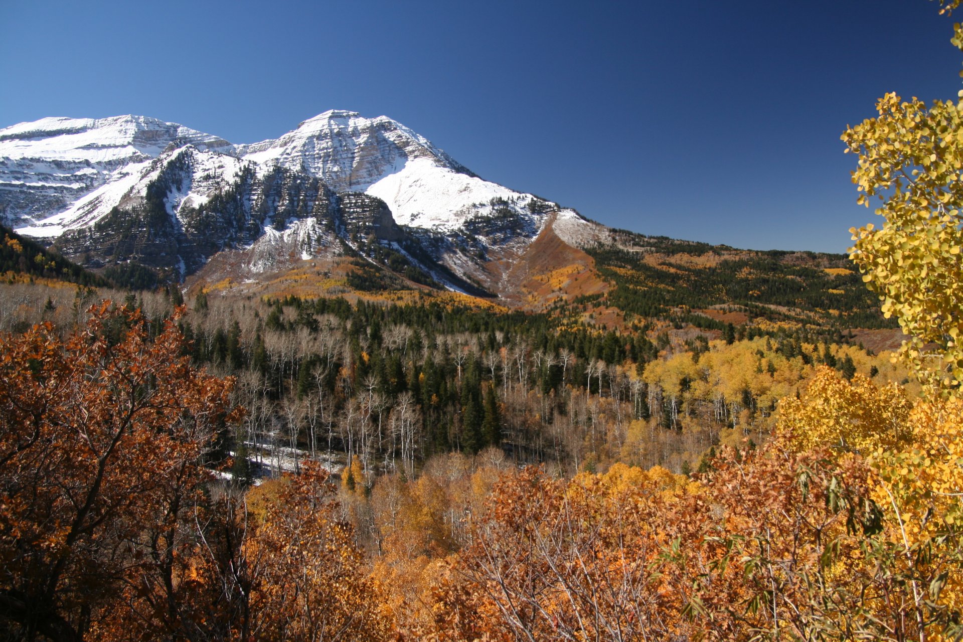 herbst berge wald bäume blätter klar tag blau wolkenlos himmel