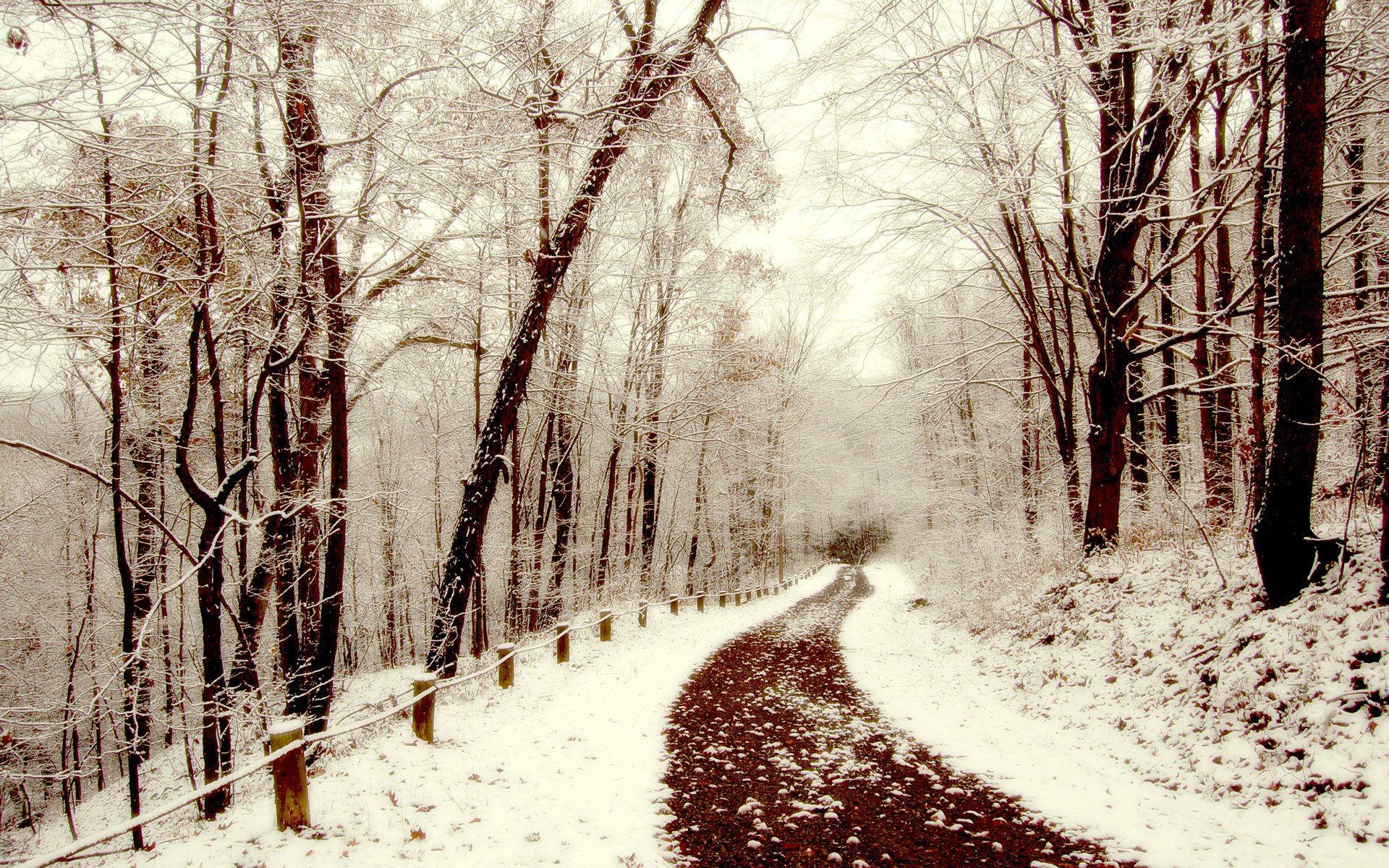 neve inverno sentiero passeggiata