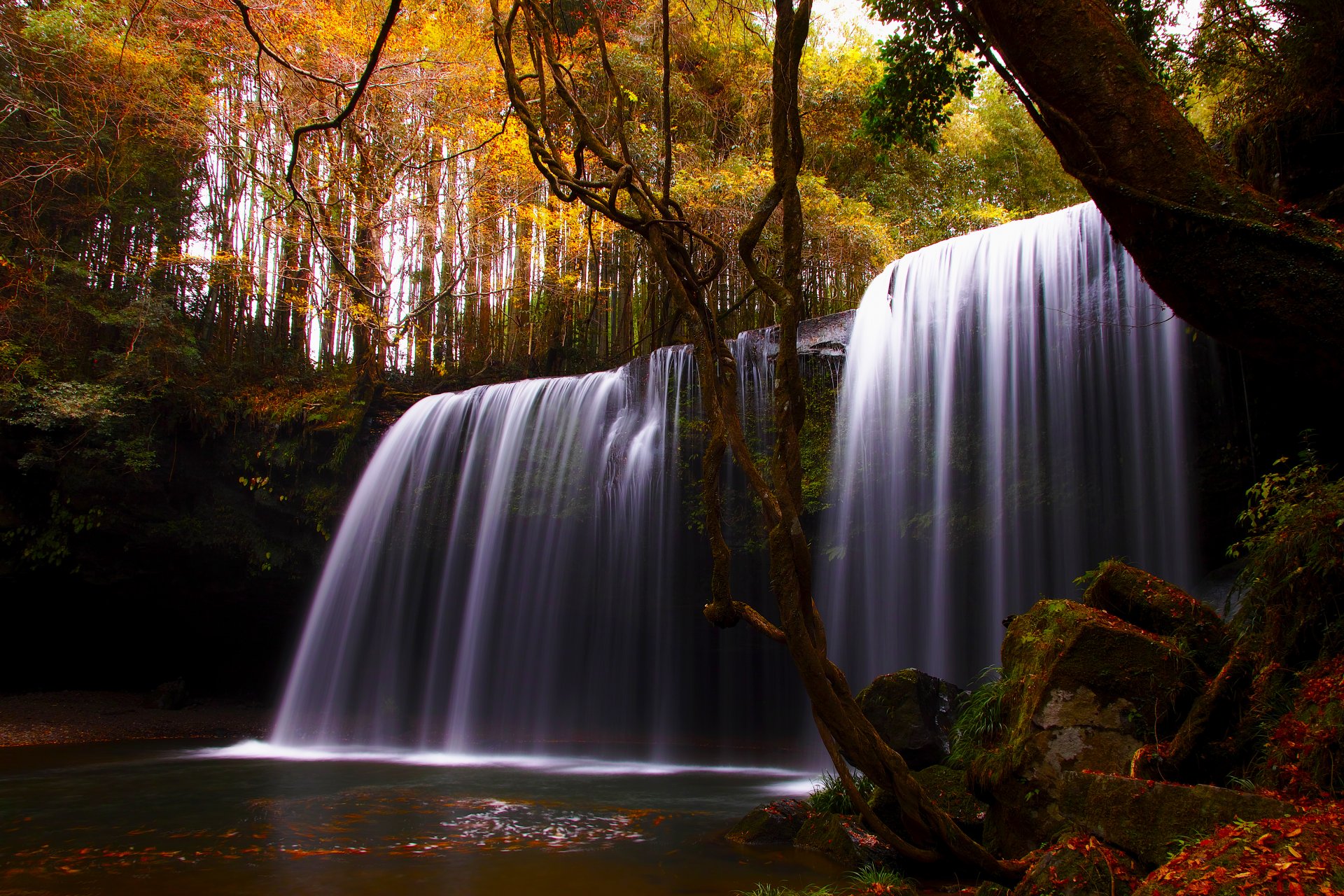 naturaleza cascada río otoño árboles