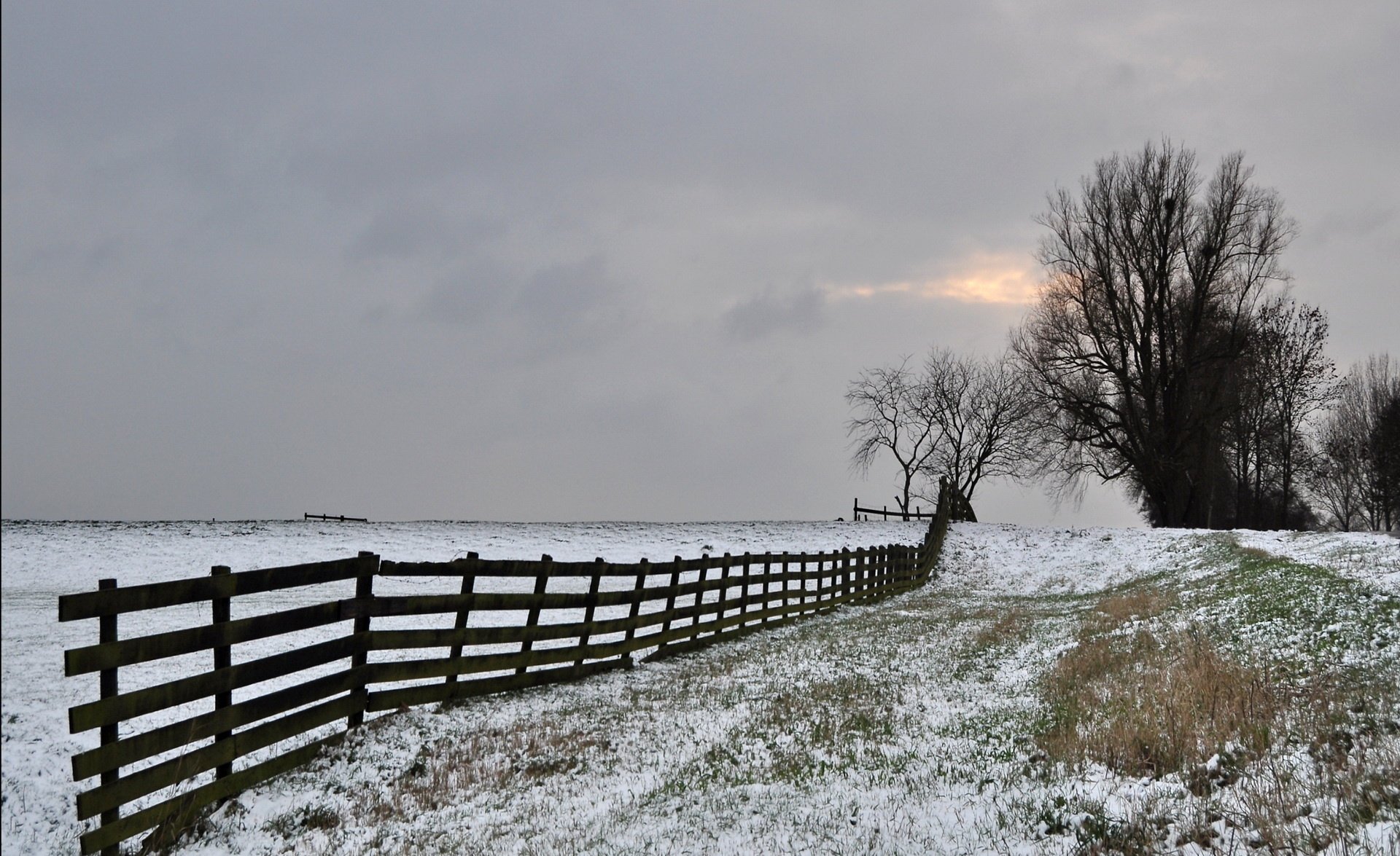 invierno cerca campo escarcha árboles gris cielo