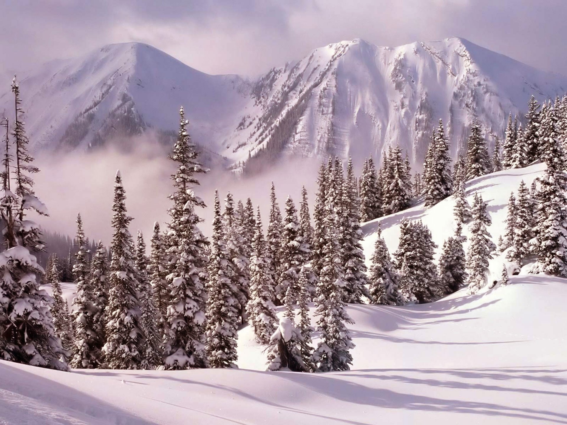 invierno nieve montañas árboles árboles de navidad