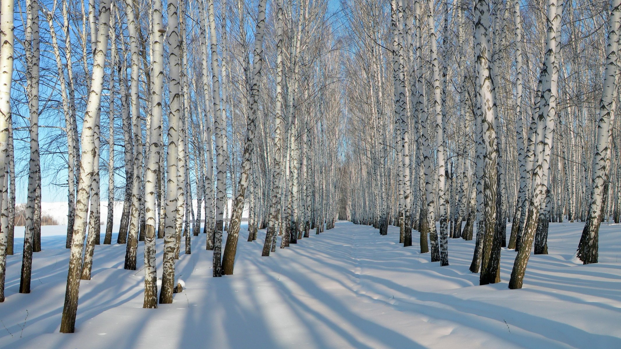 neve inverno