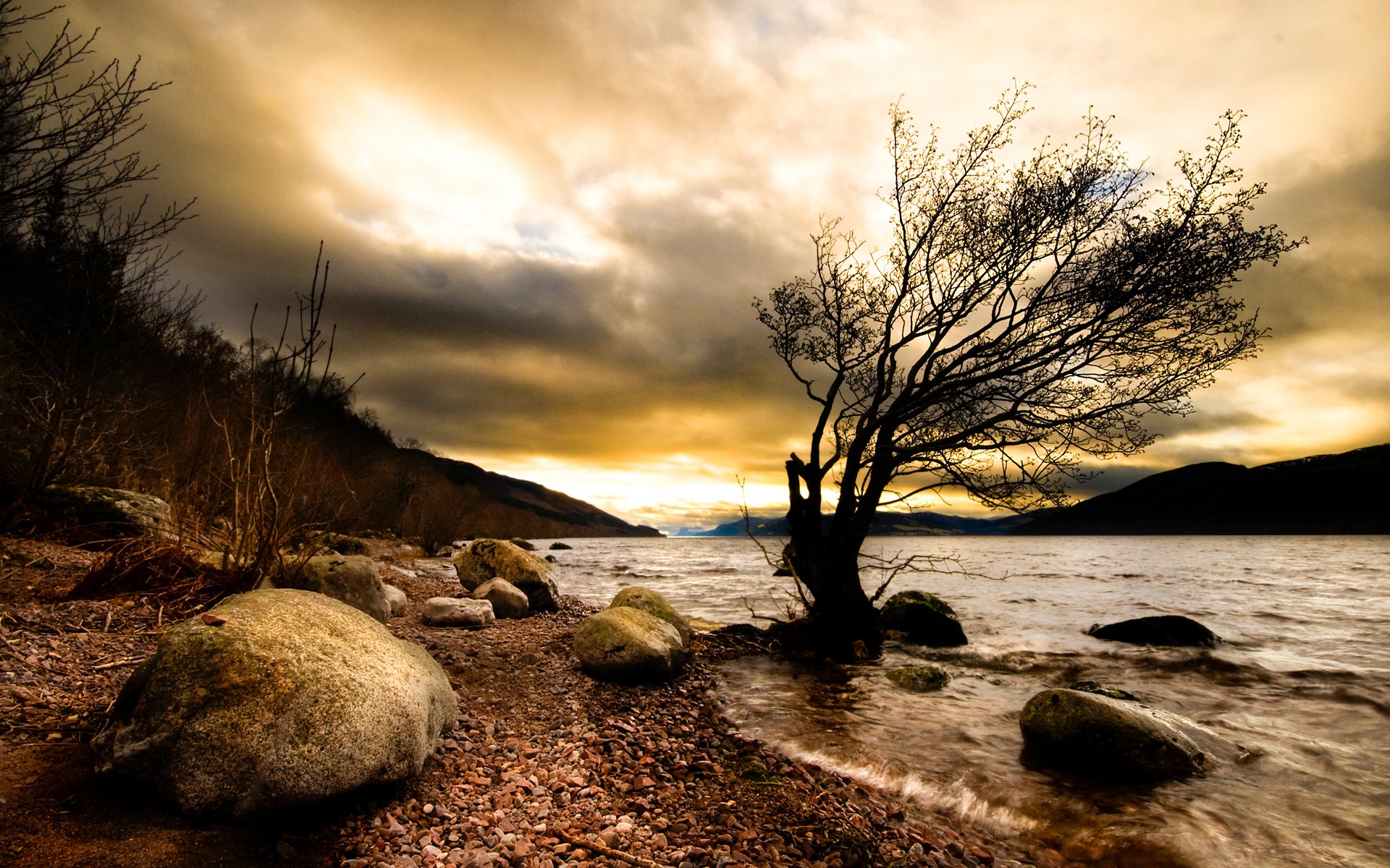 natur fluss baum steine dunkelheit