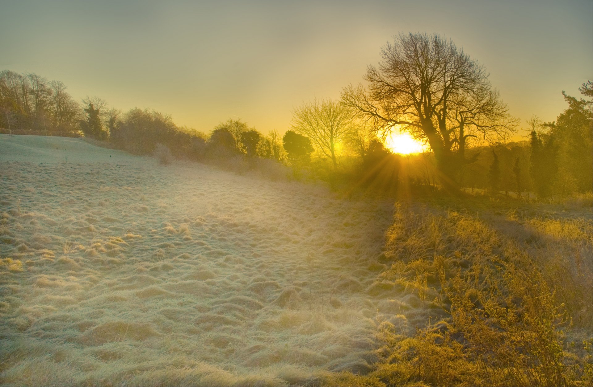 england morgen morgendämmerung sonne licht strahlen lichtung bäume gras frost