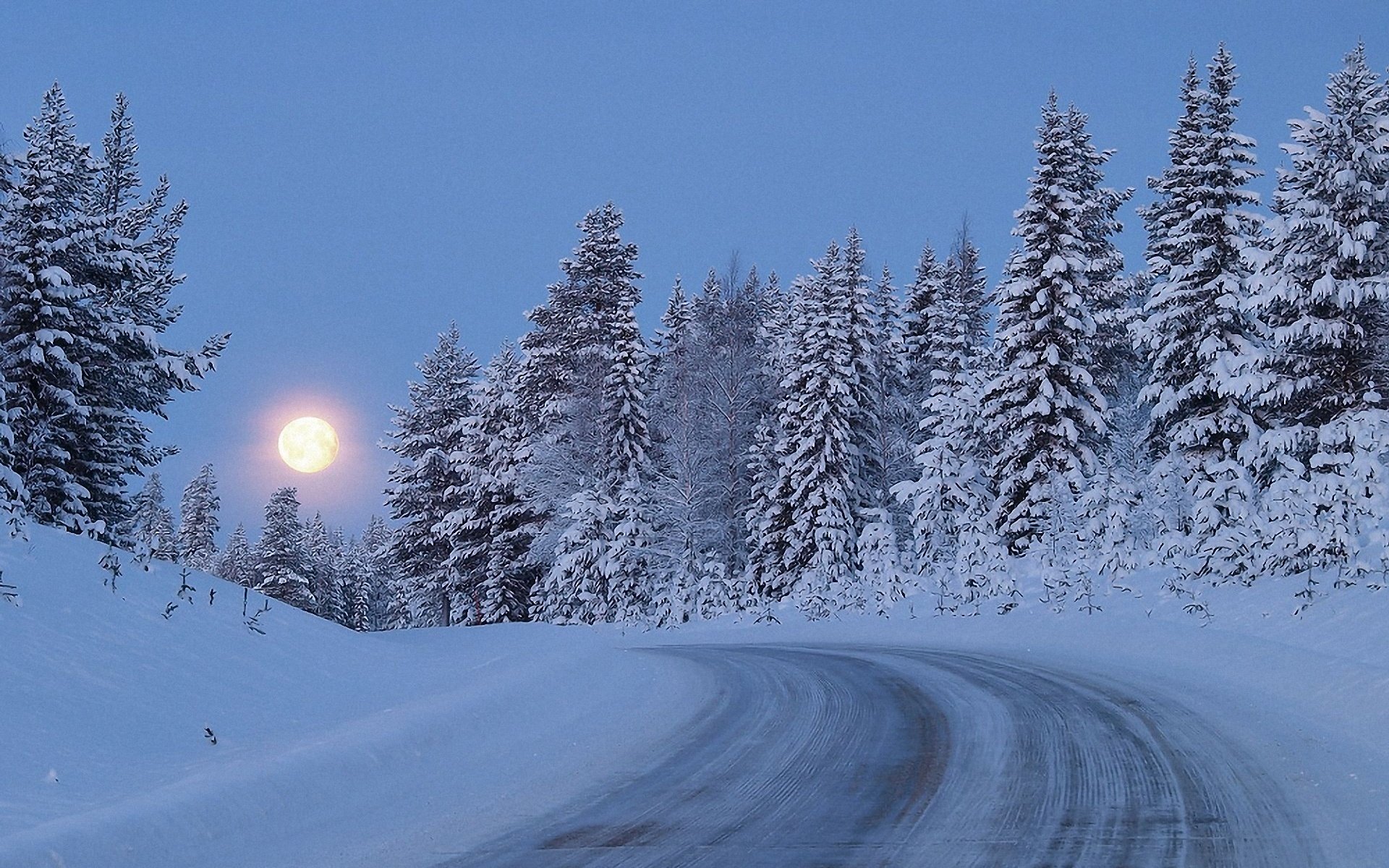 hiver neige route forêt arbres crépuscule lune