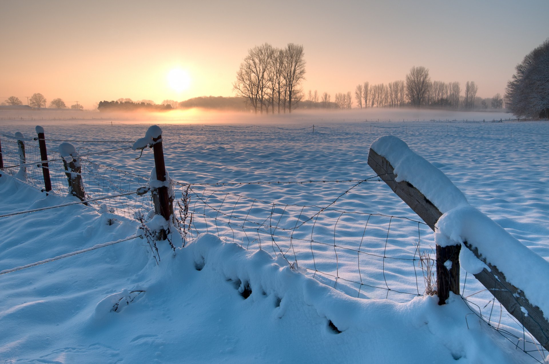 allemagne hiver neige champ arbres clôture clôture soirée coucher de soleil soleil ciel