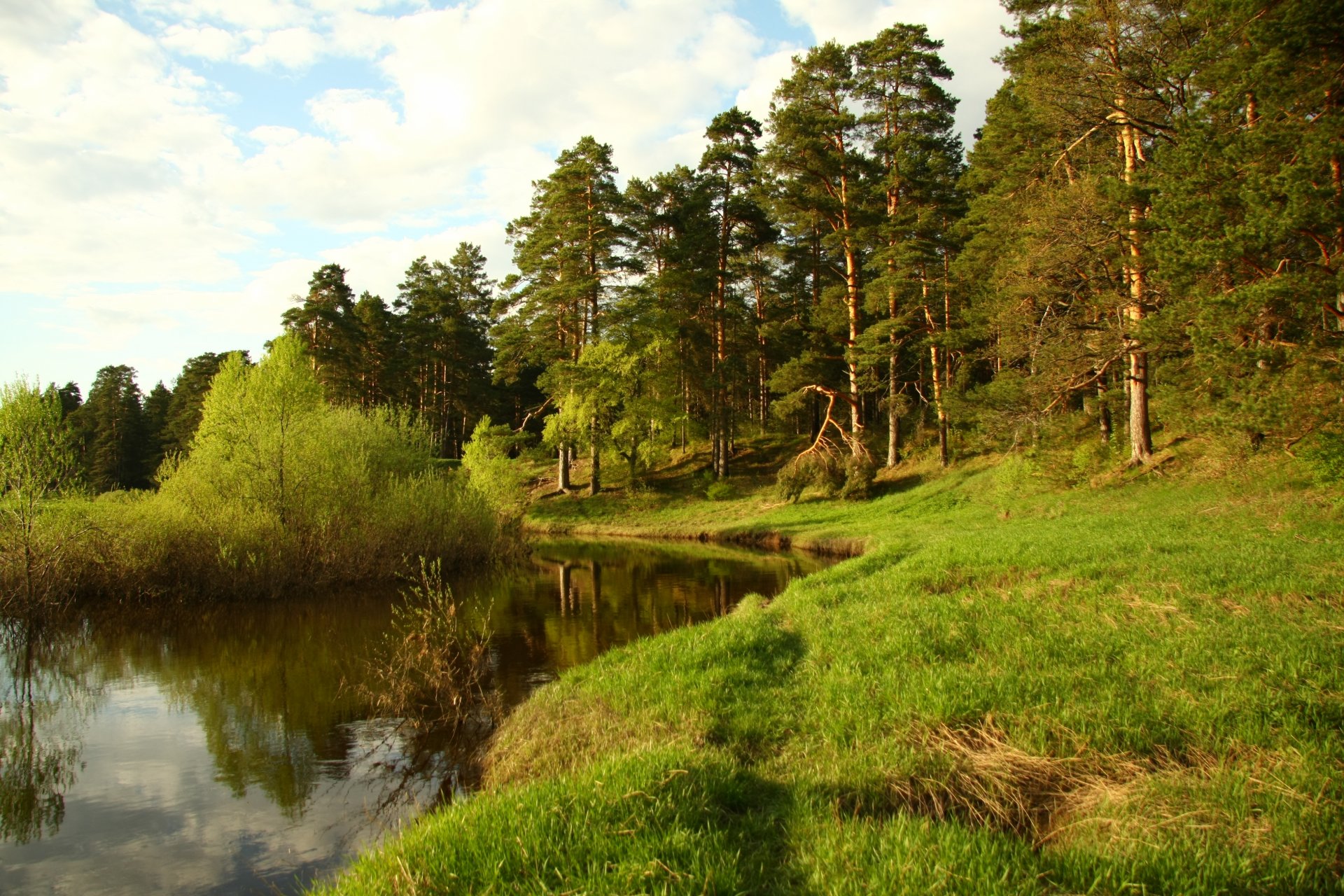 natura tapety na pulpit rzeka cava las spacer relaks krajobraz