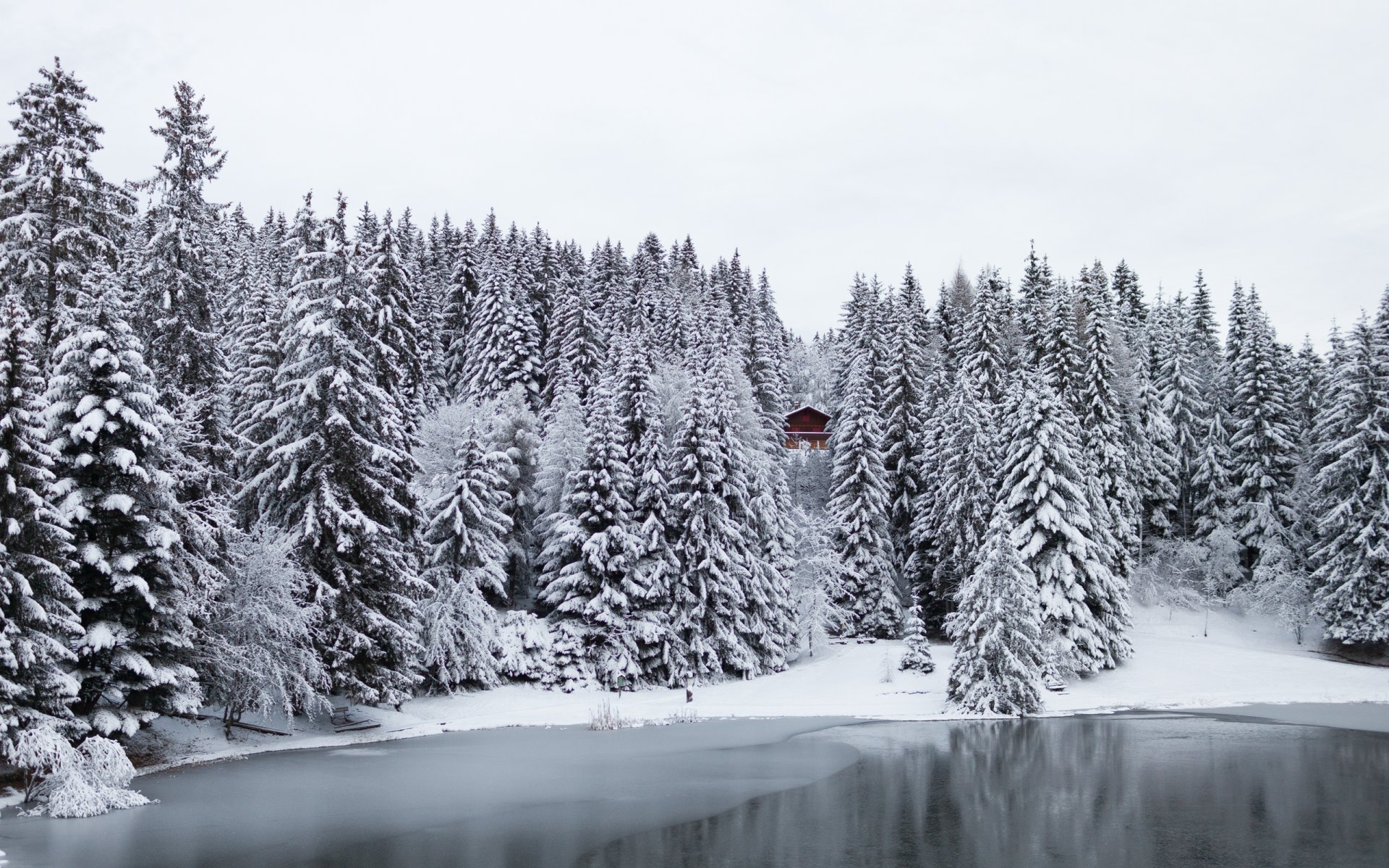 schweiz winter schnee wald bäume hütte see