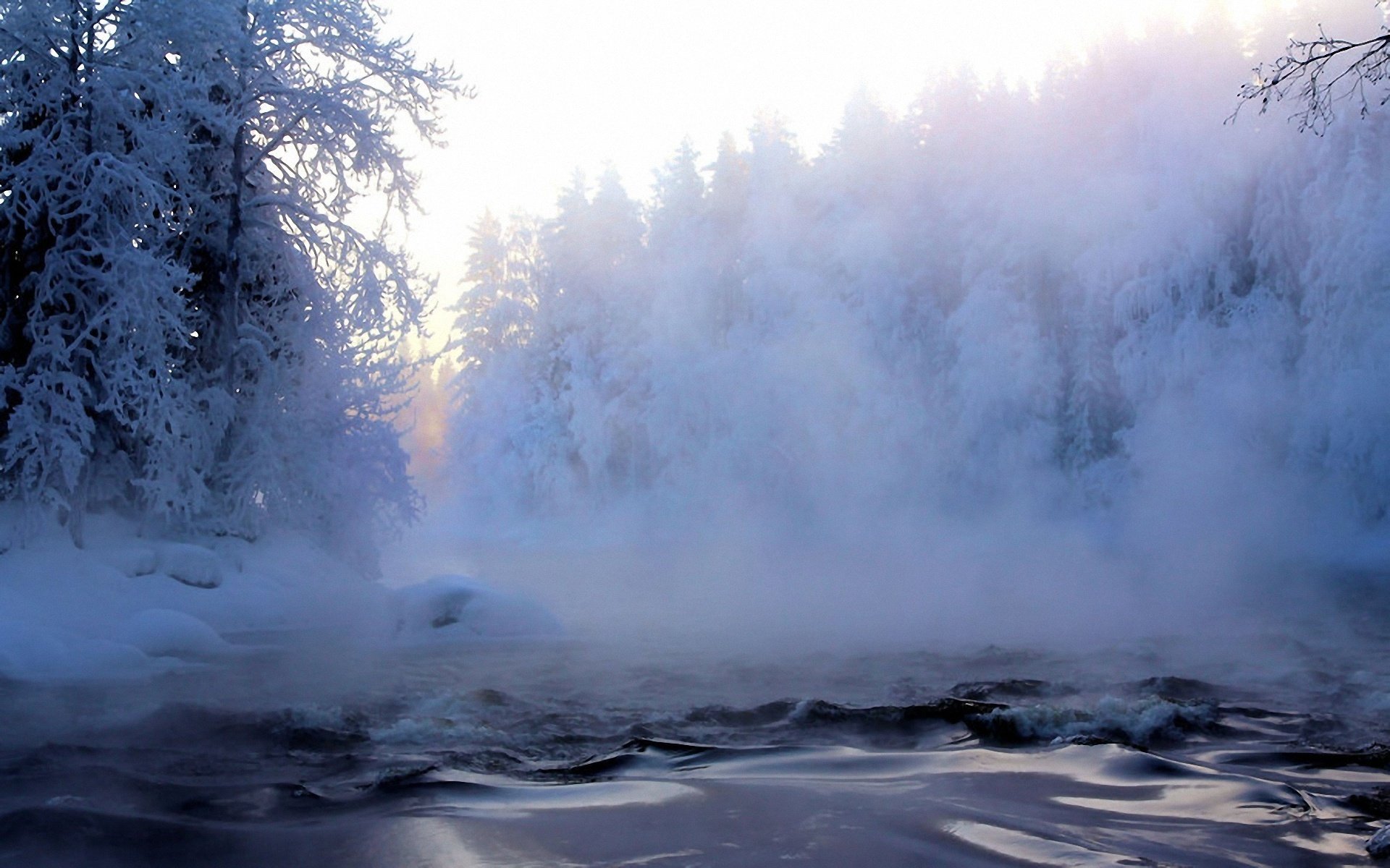 invierno nieve escarcha bosque árboles río niebla neblina