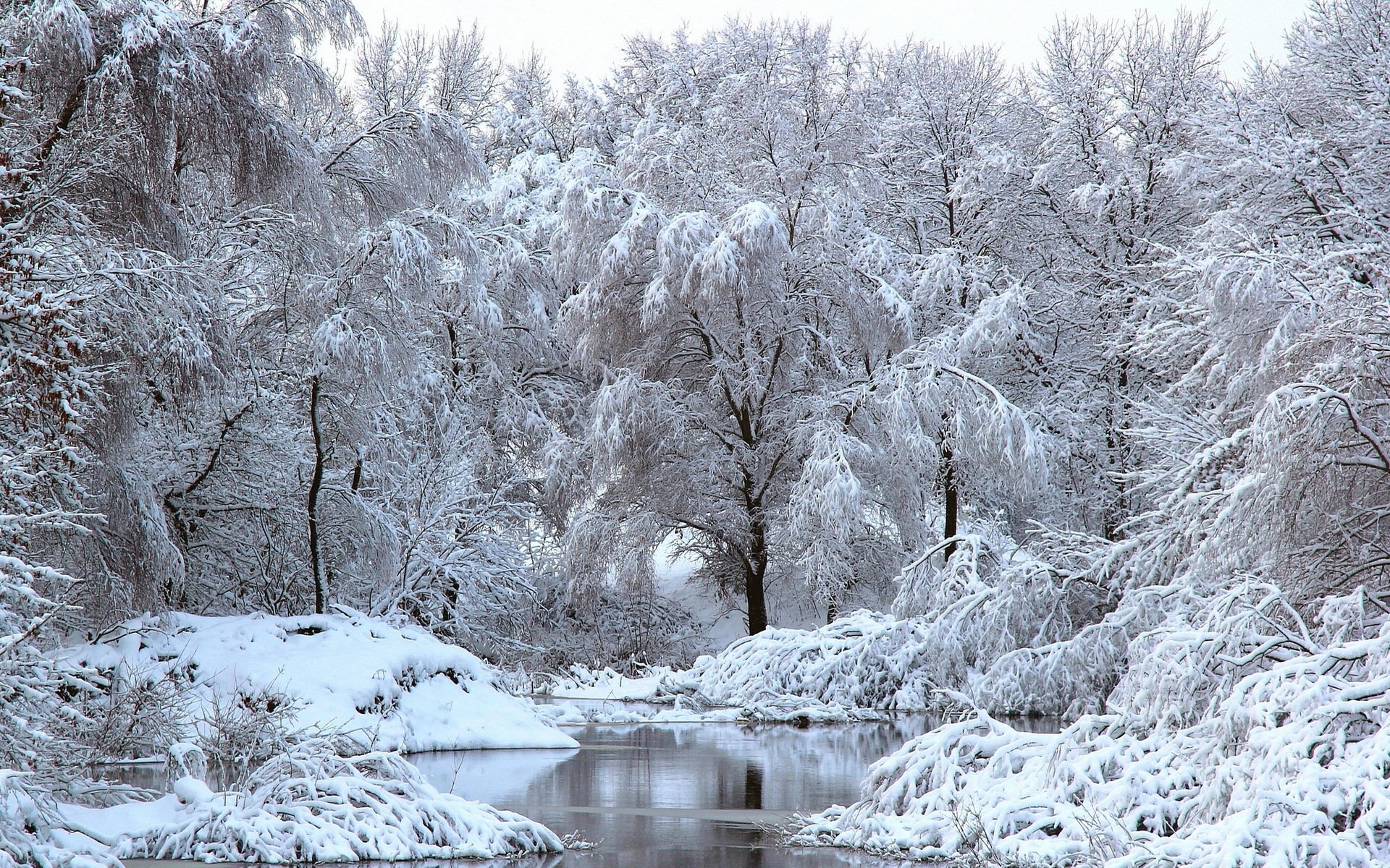 zima rzeka drzewa śnieg