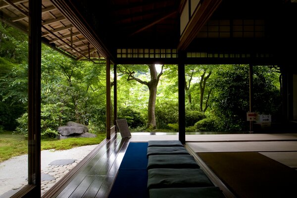 Zen in the forest temple