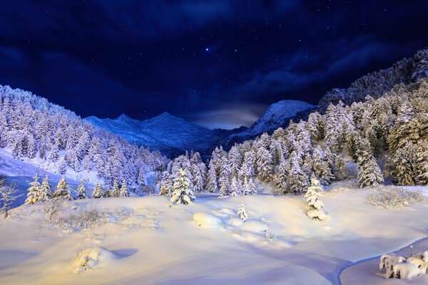 Die Schönheit der Winternacht Wälder und Berge