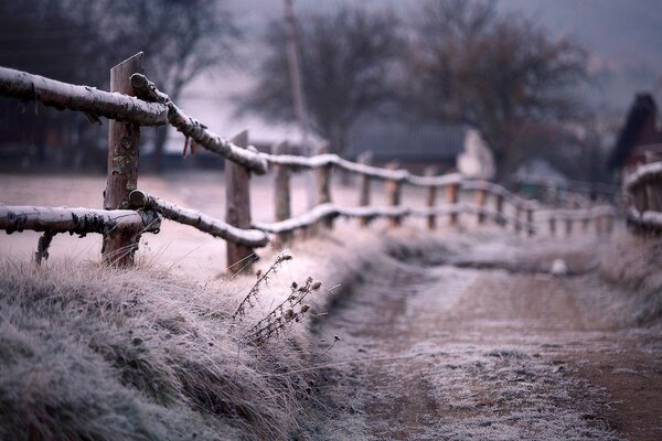 Winter path covered with frost