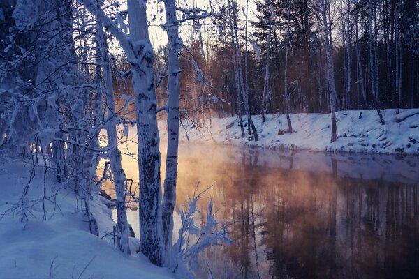 Winter fairy tale on the lake shore