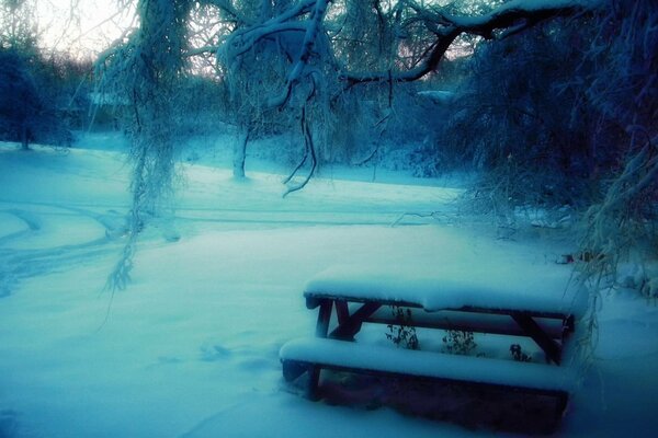 Winter day. table and benches in the snow