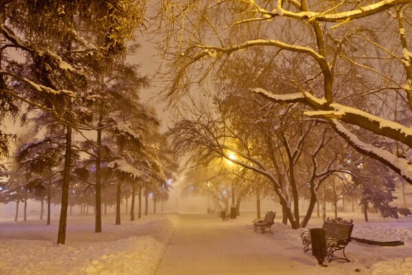 Silvester Nacht Platz und Bank