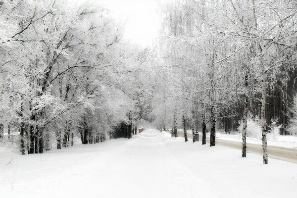 Parque de invierno al lado de la carretera