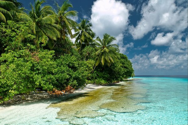 die Malediven. Blaues klares Wasser