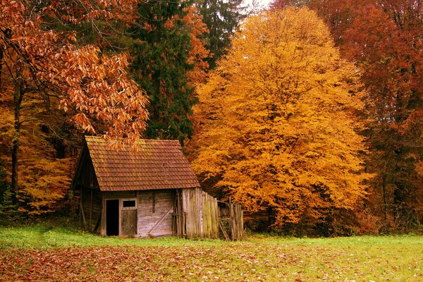 Pequeña casa en el bosque de otoño