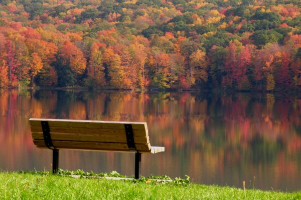 Vacaciones a orillas del lago en otoño