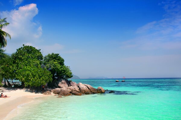 Belle plage déserte avec des palmiers