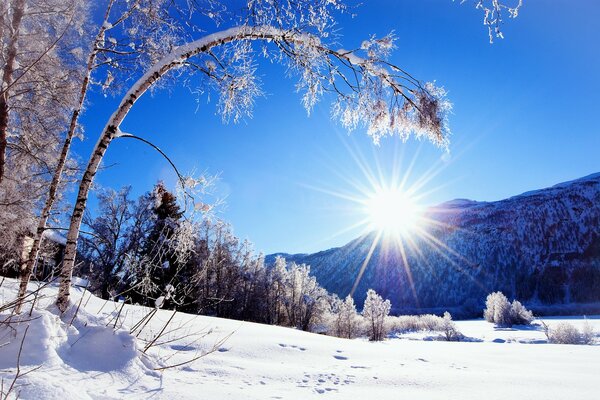 Invierno, mañana soleada en las montañas