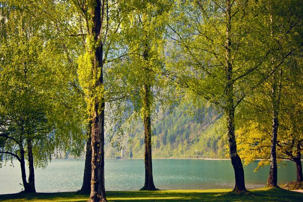 Frühlingssee am Fuße der Berge in der Schweiz