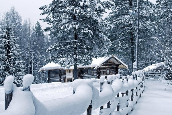 A hut in the forest in snowdrifts