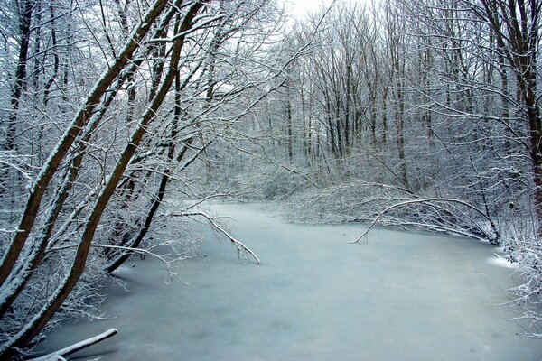 Gefrorener Fluss im kalten Winter