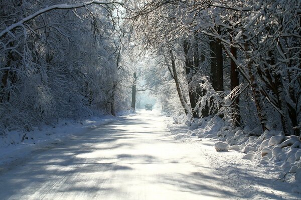 Winter snow road in the middle of the forest