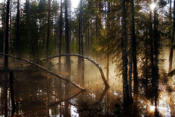 Beauté inhabituelle de la nature