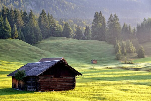 Mountains in the forest and a house on the slope