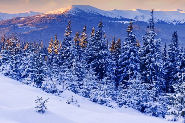 Belleza de invierno de las montañas nevadas