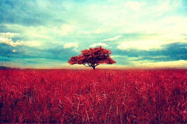 Ein einsamer Baum, der auf einem Feld aus rotem Gras steht