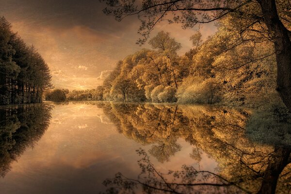 Immagine autunno. Alberi vicino al fiume