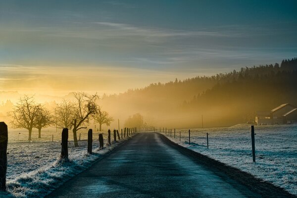 The road in the fog in the morning in nature